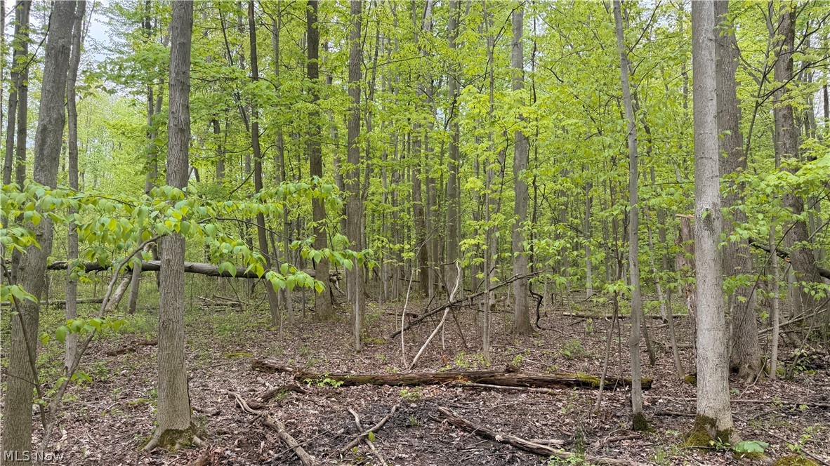 Munson Hill Road Ashtabula OH 44004
