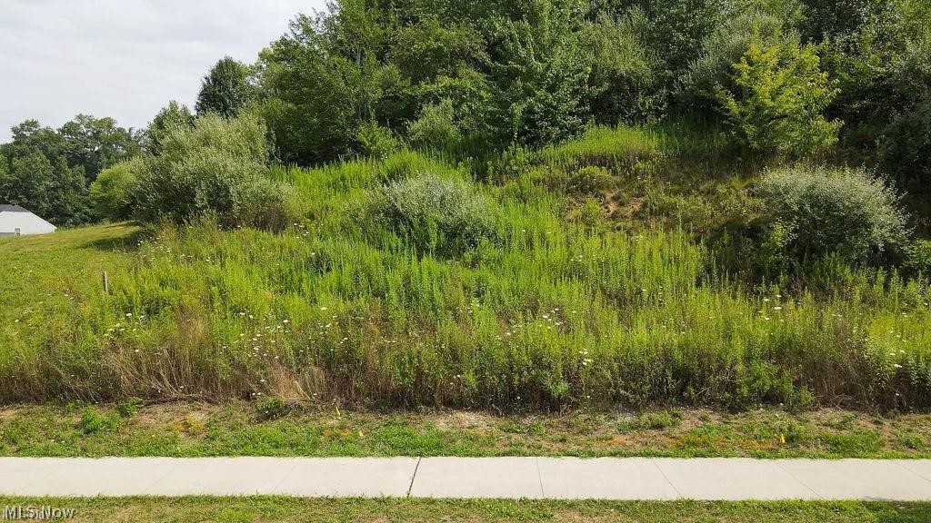 2771 Superior Drive Green OH 44685