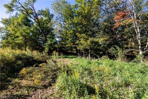 Alabama Avenue SW Navarre OH 44662
