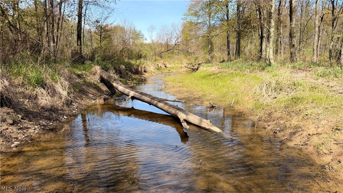 California Road Williamsfield OH 44093