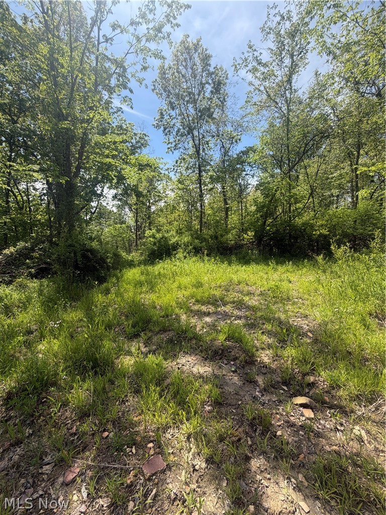 SE Robinhood Road Dennison OH 44621