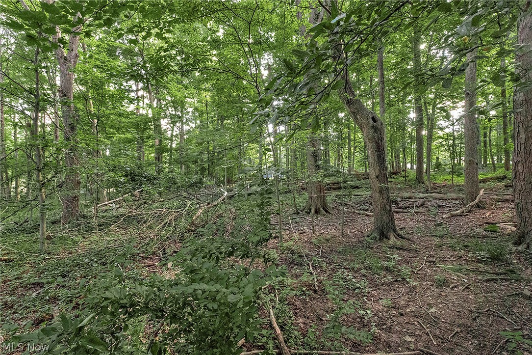 15879 Hemlock Road Chagrin Falls OH 44022