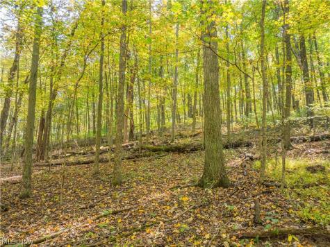 Trail 228 Glenmont OH 44628