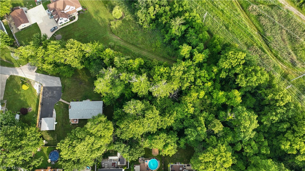 Strother Avenue Painesville OH 44077