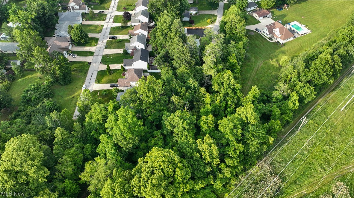 Strother Avenue Painesville OH 44077