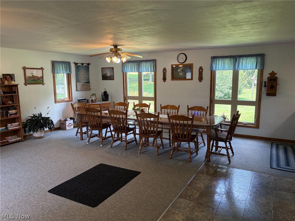 9262 Ziegler Road Hanoverton OH 44423