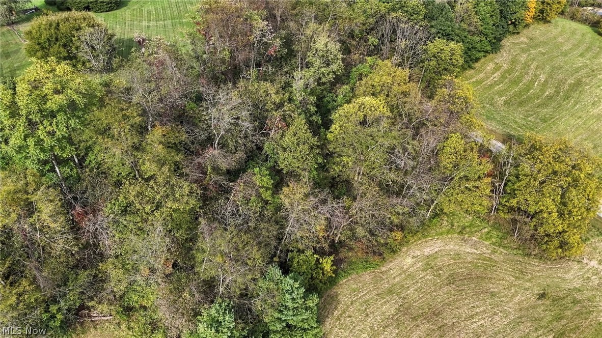 1035 Andy Drive New Concord OH 43762