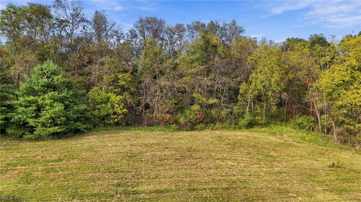 1035 Andy Drive New Concord OH 43762