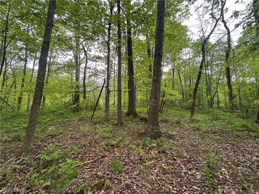 Wesley Chapel Mount Perry OH 43760