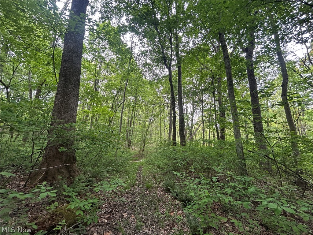 Wesley Chapel Mount Perry OH 43760