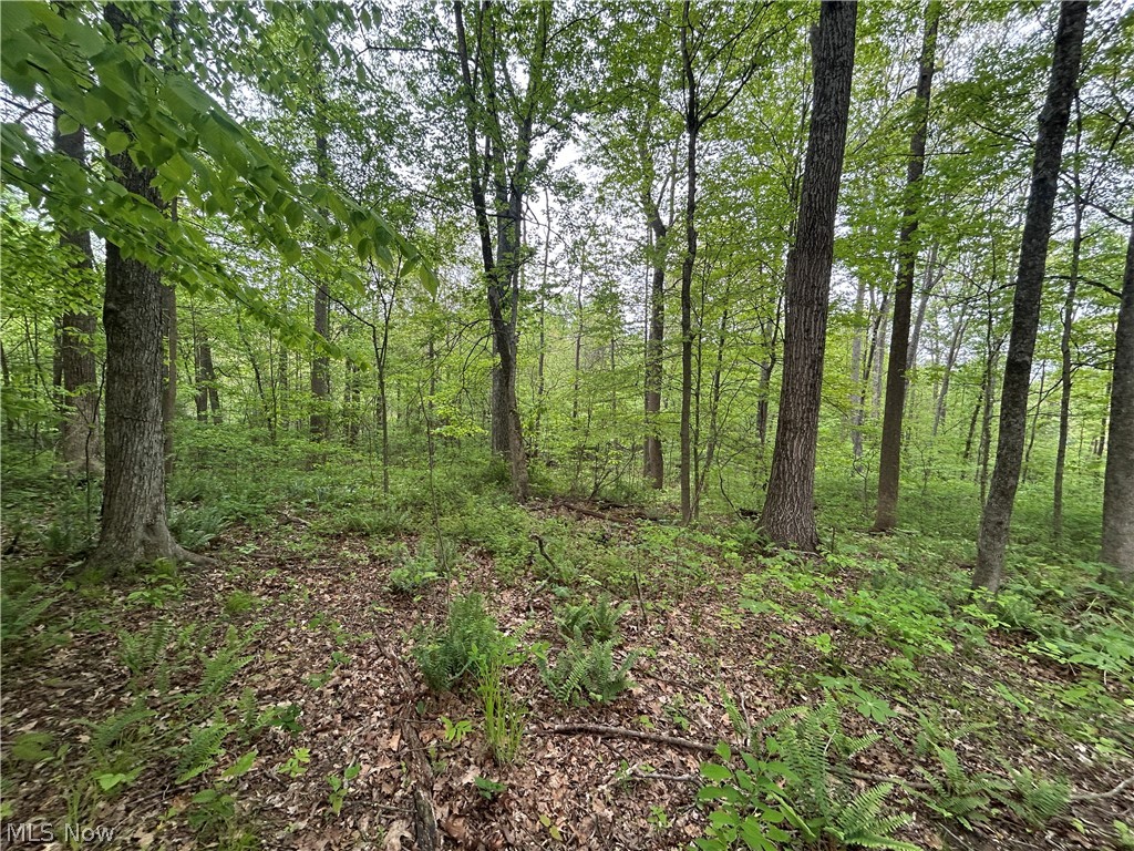 Wesley Chapel Mount Perry OH 43760