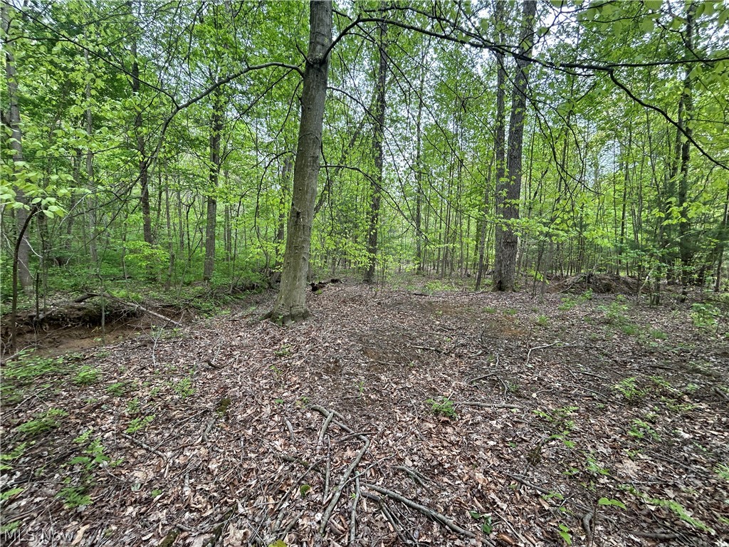 Wesley Chapel Mount Perry OH 43760