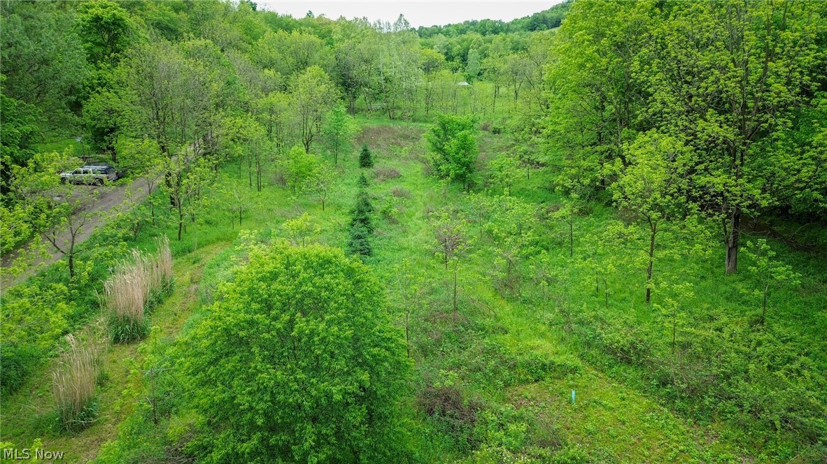 Trail 88 Coshocton OH 43824