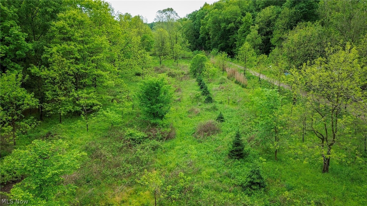 Trail 88 Coshocton OH 43824