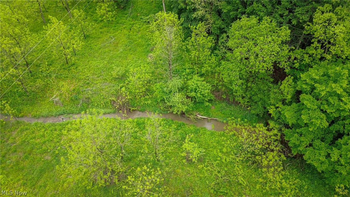 Trail 88 Coshocton OH 43824