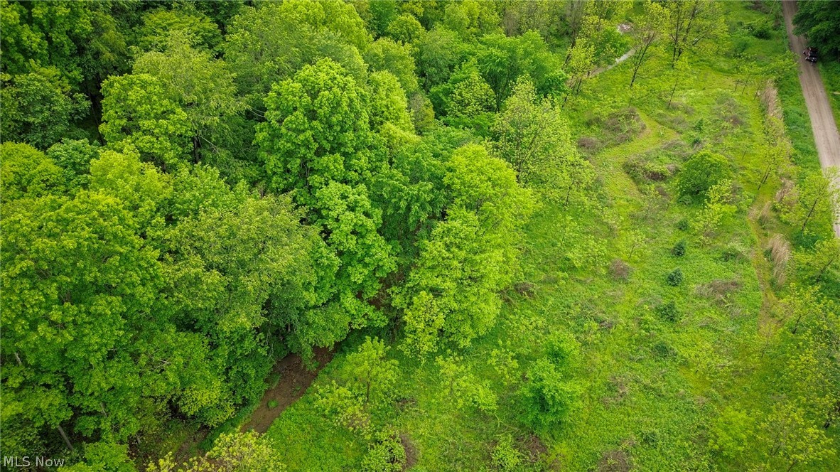 Trail 88 Coshocton OH 43824
