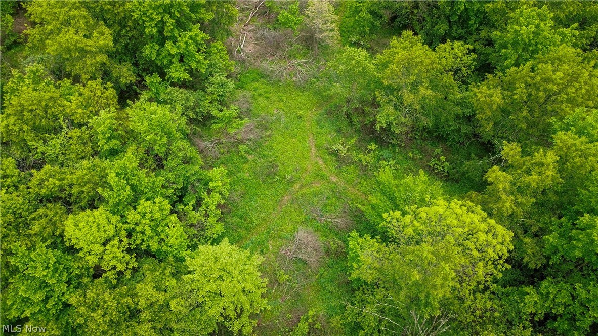 Trail 88 Coshocton OH 43824