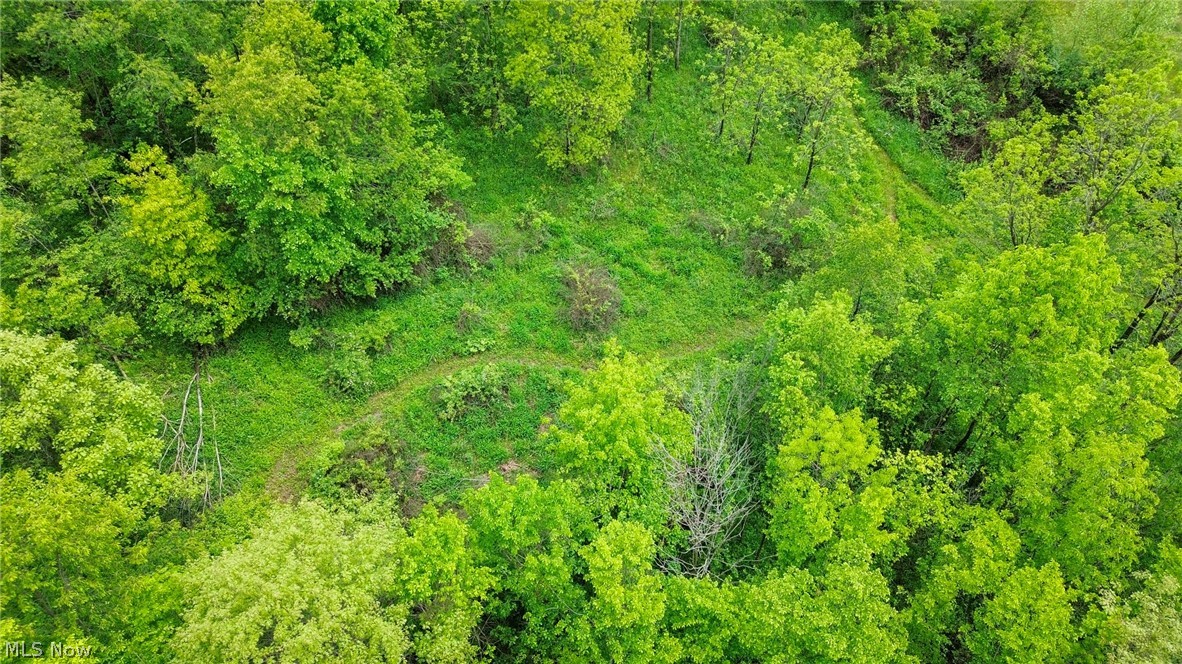 Trail 88 Coshocton OH 43824