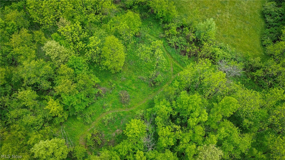 Trail 88 Coshocton OH 43824