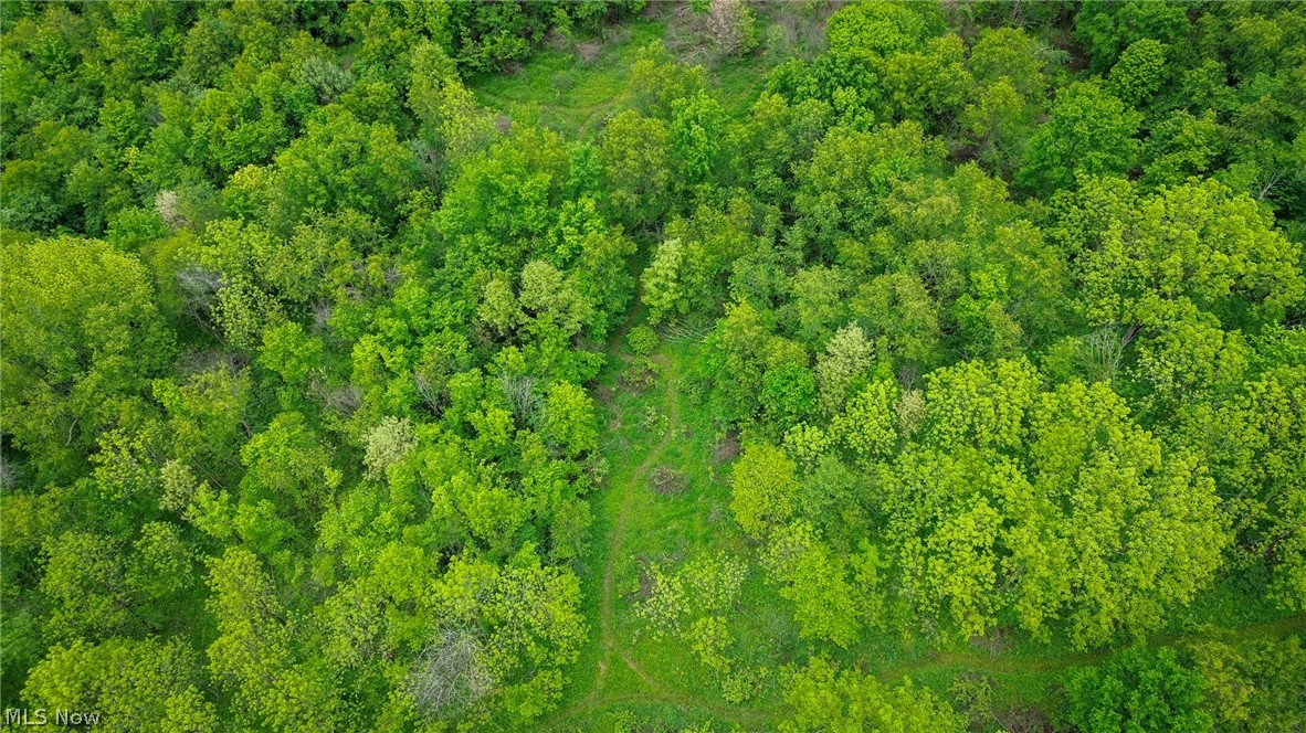 Trail 88 Coshocton OH 43824