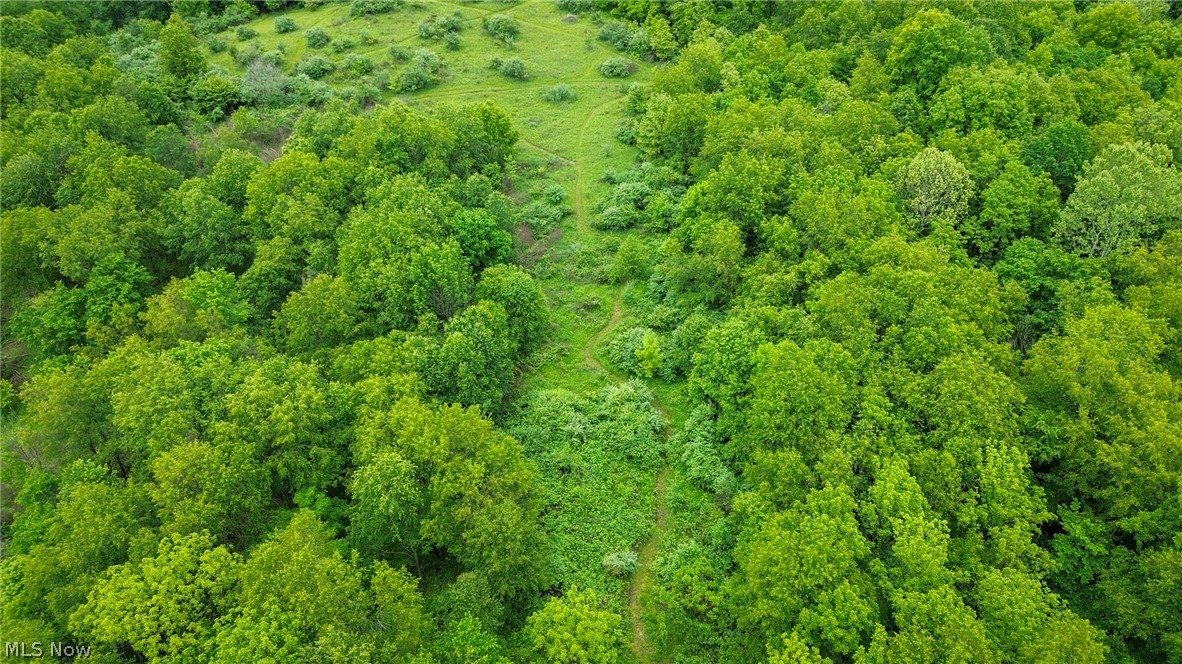 Trail 88 Coshocton OH 43824