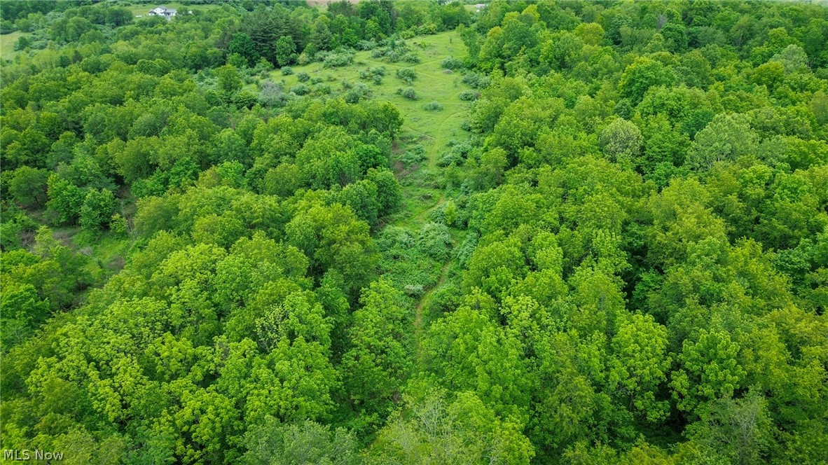 Trail 88 Coshocton OH 43824