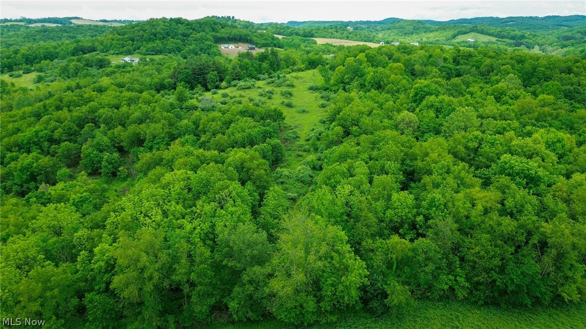 Trail 88 Coshocton OH 43824