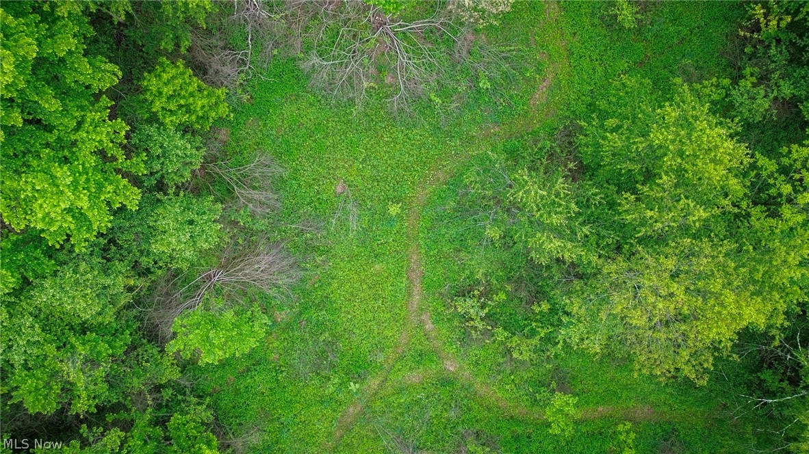 Trail 88 Coshocton OH 43824