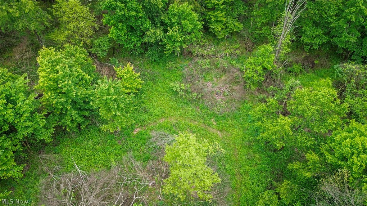 Trail 88 Coshocton OH 43824