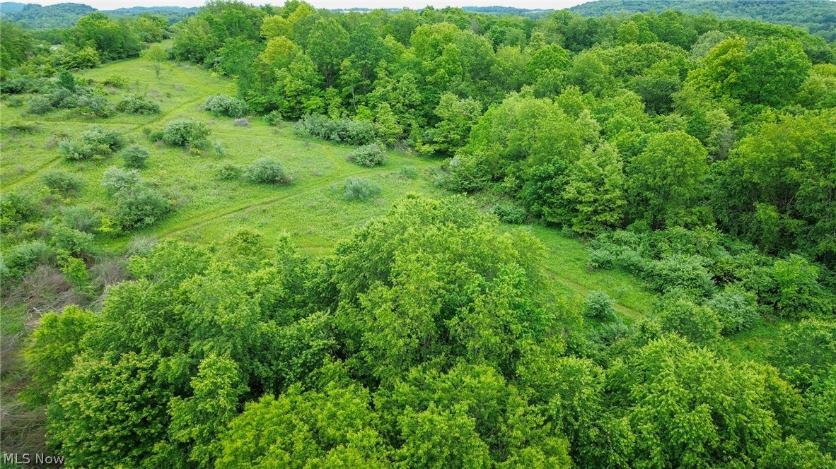 Trail 88 Coshocton OH 43824