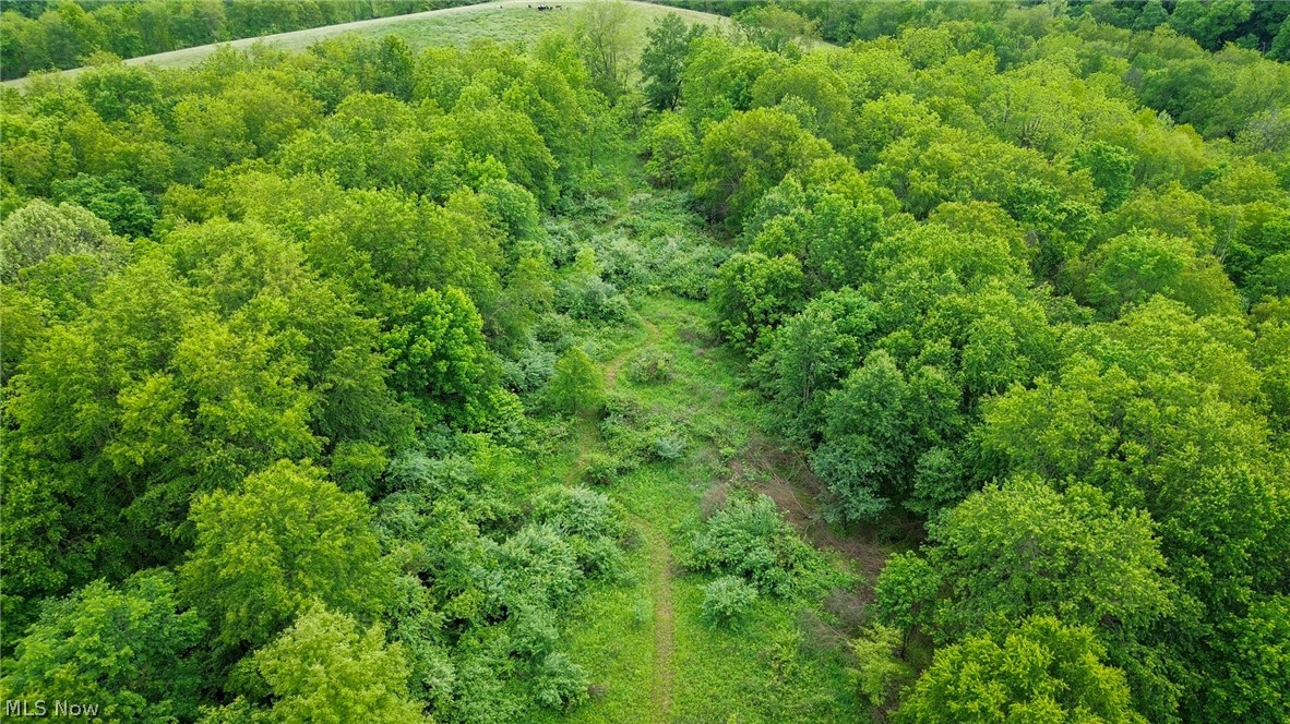 Trail 88 Coshocton OH 43824