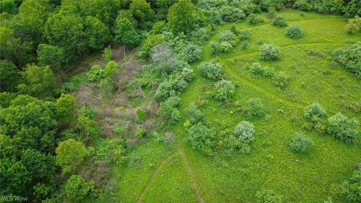 Trail 88 Coshocton OH 43824