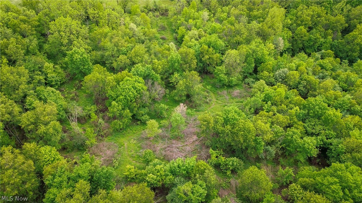 Trail 88 Coshocton OH 43824
