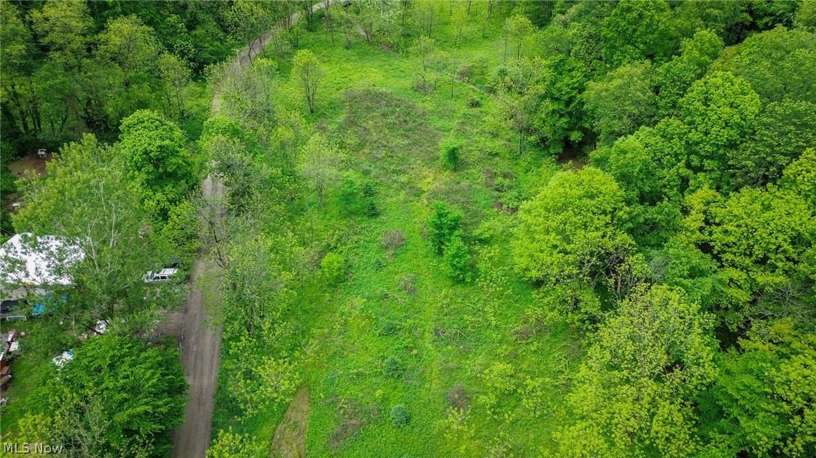 Trail 88 Coshocton OH 43824