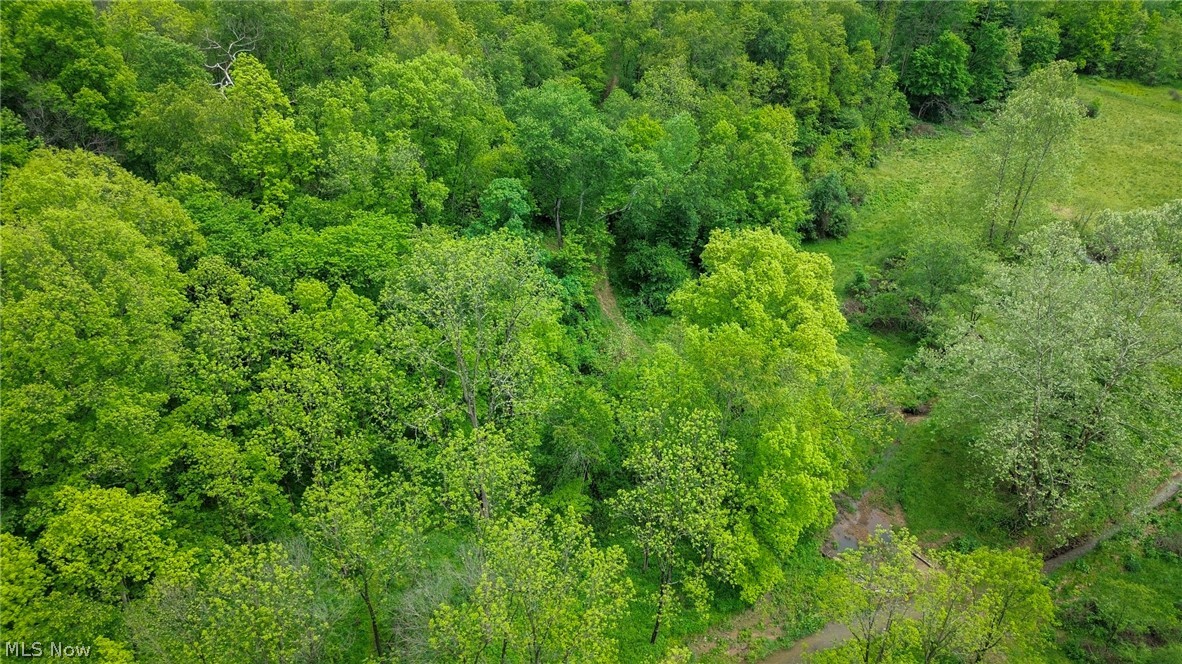 Trail 88 Coshocton OH 43824
