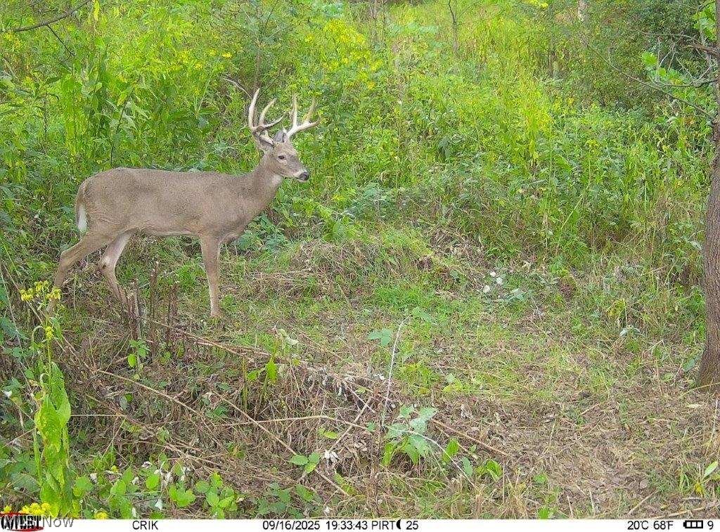 Trail 88 Coshocton OH 43824