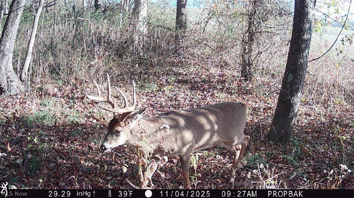 Trail 88 Coshocton OH 43824