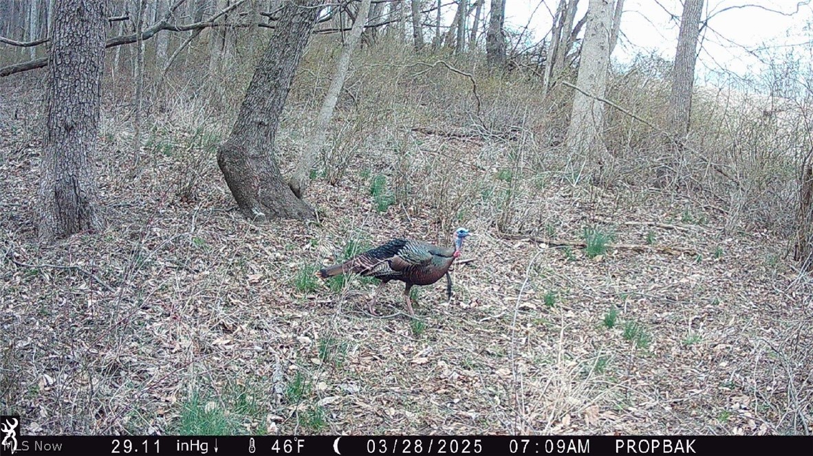Trail 88 Coshocton OH 43824