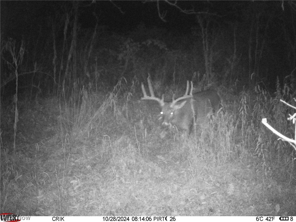 Trail 88 Coshocton OH 43824