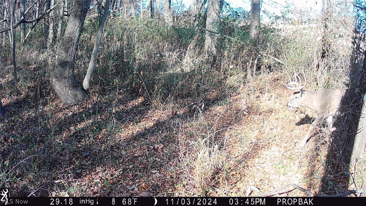 Trail 88 Coshocton OH 43824