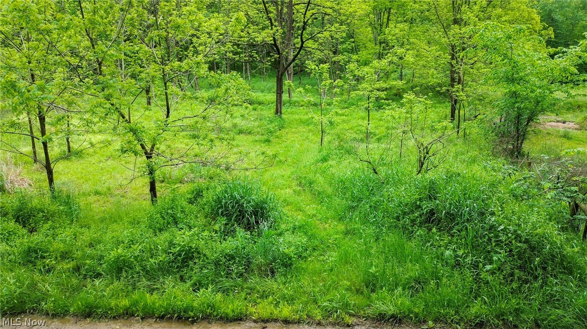 Trail 88 Coshocton OH 43824