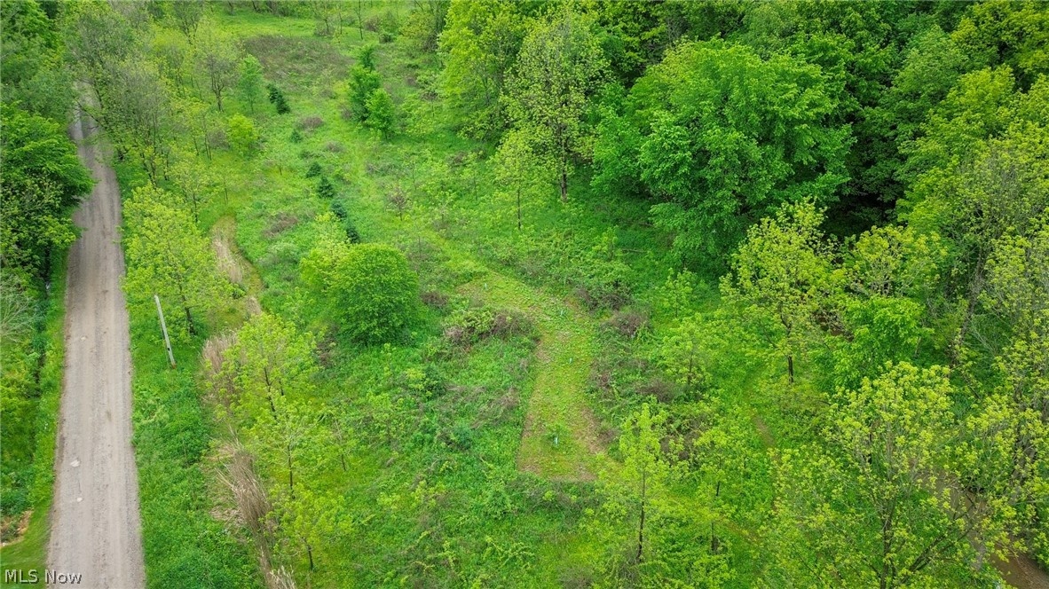 Trail 88 Coshocton OH 43824