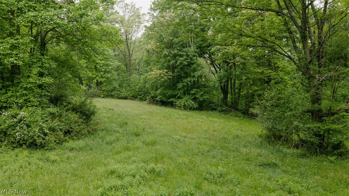 Chestnut Ridge Road SE Masury OH 44438
