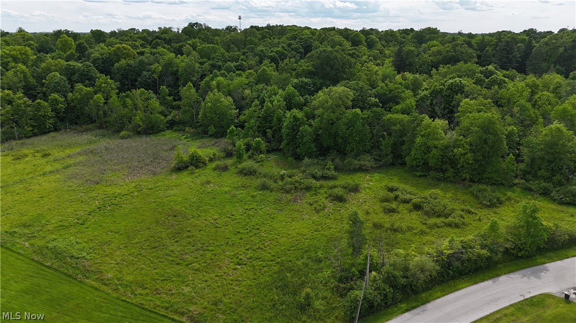 999 Timbercrest Drive Canfield OH 44406