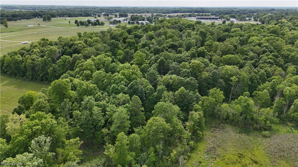 999 Timbercrest Drive Canfield OH 44406