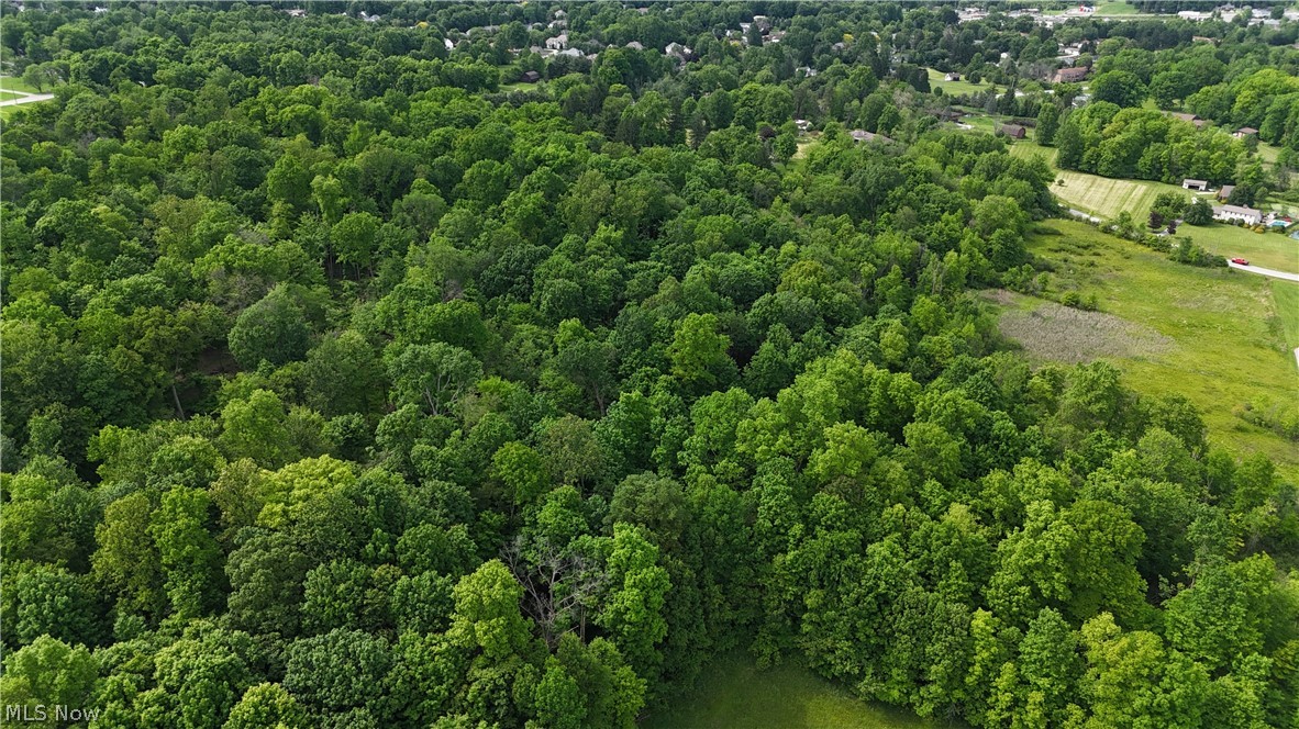 999 Timbercrest Drive Canfield OH 44406