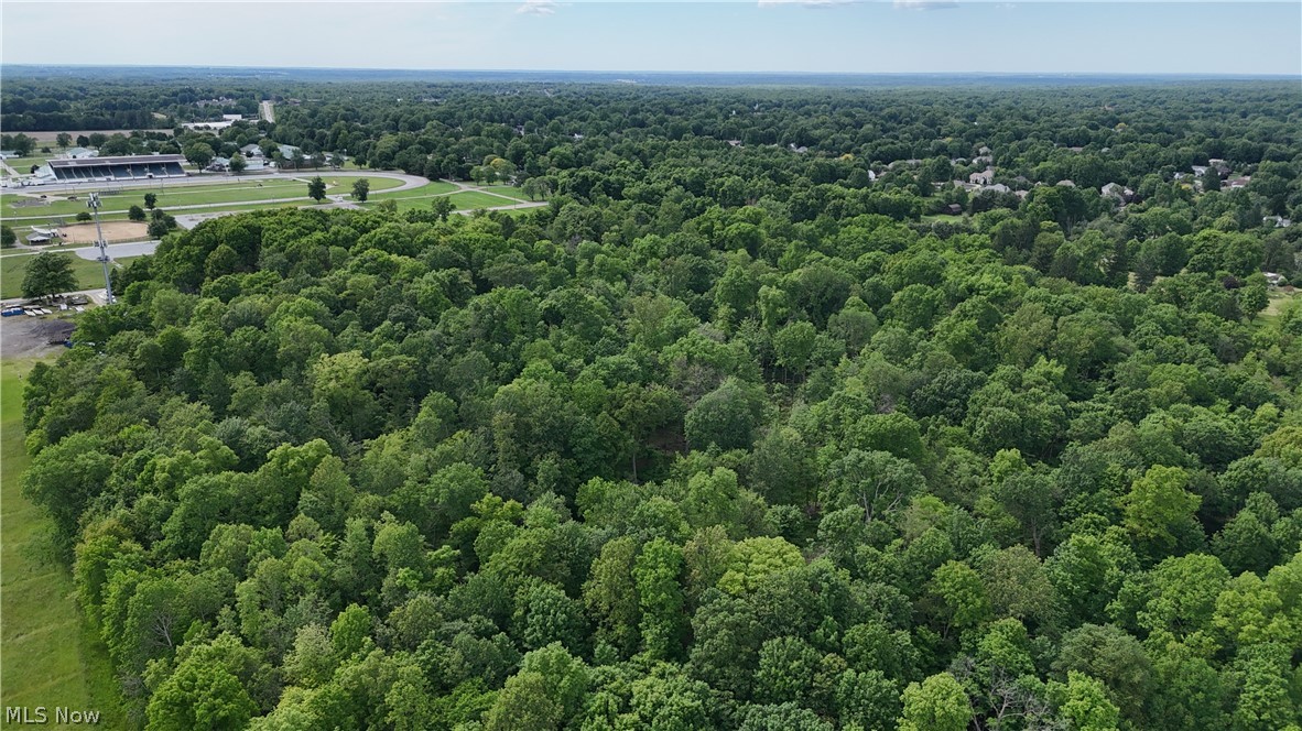 999 Timbercrest Drive Canfield OH 44406