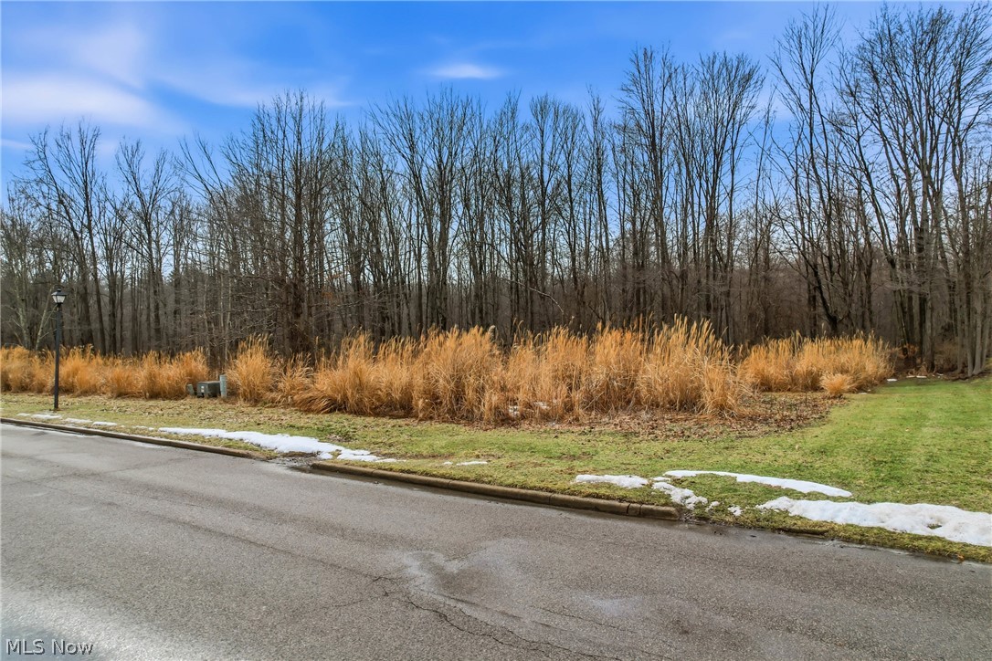 Lakeview Drive Hubbard OH 44425