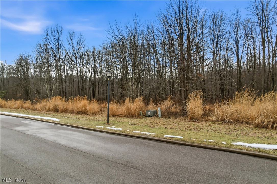 Lakeview Drive Hubbard OH 44425