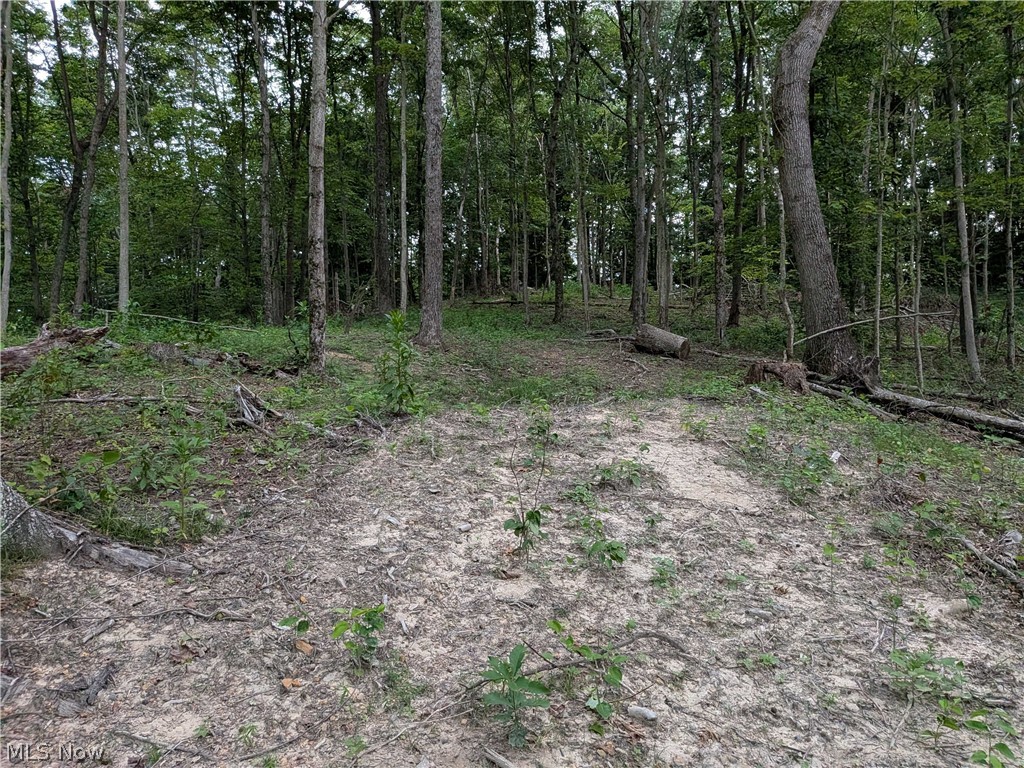 35401 Moore Road Logan OH 43138